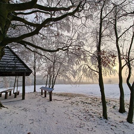 Villa Kalma Roztocze Tereszpol-Zaorenda Exterior foto